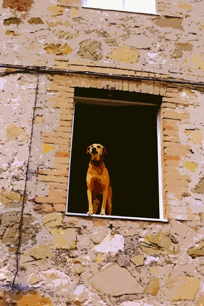 Digital Color Painting Style Representing Light Brown Dog Looking Out — Stock Photo, Image