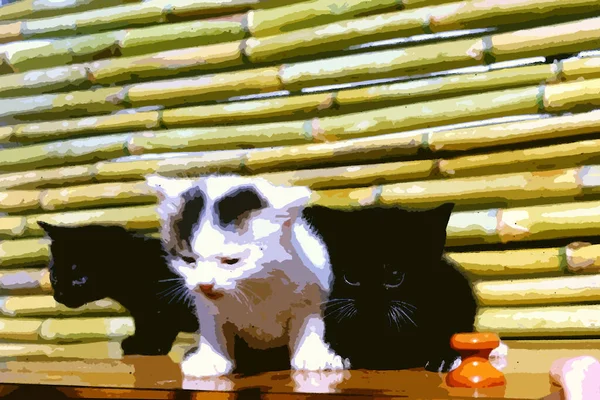 Estilo Digital Pintura Color Que Representa Tres Gatitos Nacidos Hace —  Fotos de Stock