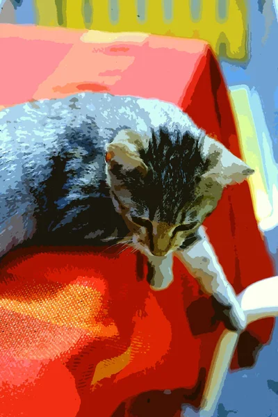 Stile Pittura Digitale Colori Che Rappresenta Giovane Gatto Mandrino Grigio — Foto Stock