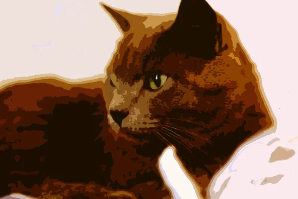 Stile Pittura Digitale Colori Che Rappresenta Testa Giovane Gatto Tawny — Foto Stock