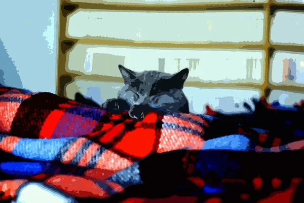 Estilo Pintura Cor Digital Representando Cabeça Jovem Gato Cinza Dormindo — Fotografia de Stock