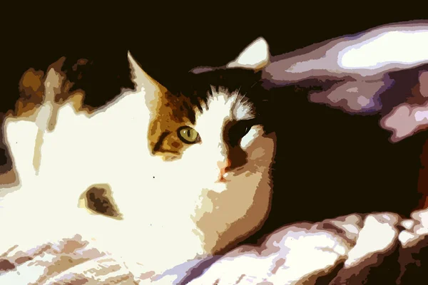 Digital Color Painting Style Representing Young Mottled White Cat Resting — Stock Photo, Image