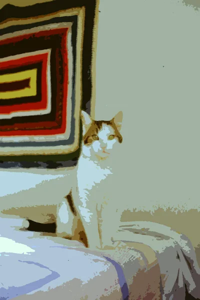 Digital Color Painting Style Representing Young Mottled White Cat Sitting — Stock Photo, Image