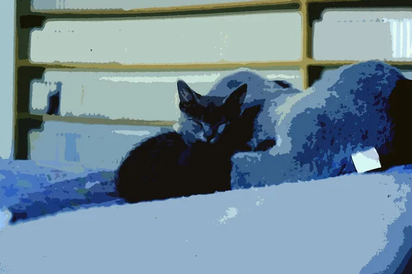 Digital Color Painting Style Representing Gray Cat Puppy Sleeping Bed — Stock Photo, Image