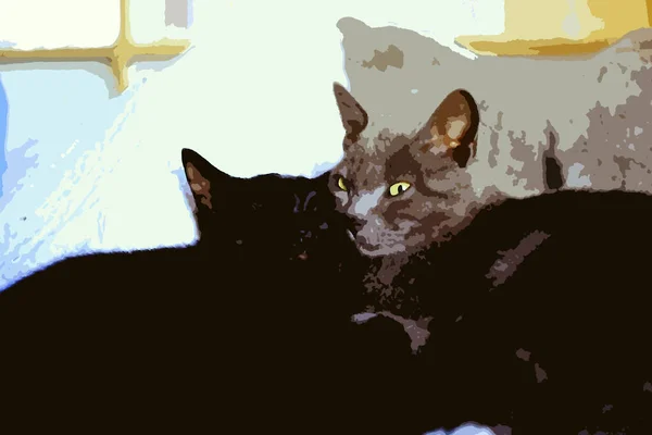 Yatağın Üzerinde Dinlenen Gri Bir Kedi Siyah Bir Kediyi Temsil — Stok fotoğraf