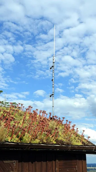 Długa Antena Umieszczona Jest Kwiecistym Dachu Starej Górskiej Chaty — Zdjęcie stockowe