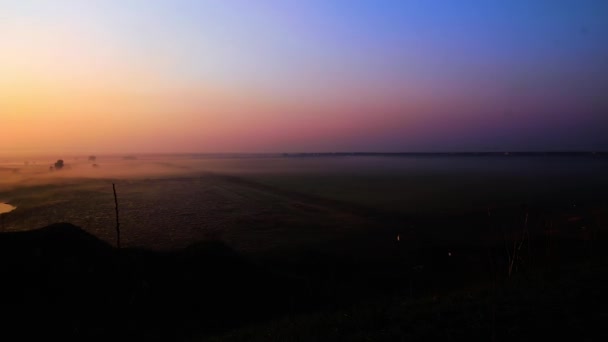 Beau Paysage Brumeux Lever Soleil Froid Matin Automne Beaux Arbres — Video