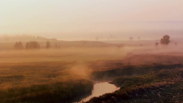 Beautiful Misty Sunrise Landscape Cold Autumn Morning Beautiful Trees Buried — Stock Video