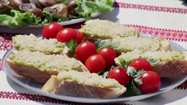 Des Escargots Ferme Beaucoup Escargots Ferme Escargots Croissance Séquence Vidéo