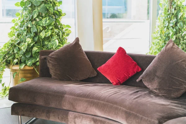 Rahat kahverengi kanepe, yastıklar ve dinlenmek ve dinlenmek için yeşillik. Doğayı evinize ve günlük yaşamınıza sokarak refahınızı artırırsınız.