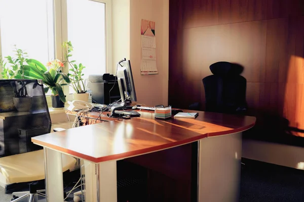 Gemütliches Arbeitszimmer in braun mit moderner Ausstattung, Kommunikation, neuen Möbeln und viel Grün. Indem Sie die Natur in Ihr Büro bringen, können Sie produktiv sein und Wohlbefinden spüren — Stockfoto