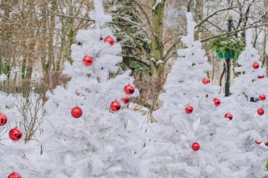 Şehir parkının Noel süslemesi Güzel beyaz Noel ağaçları Kırmızı oyuncaklarla