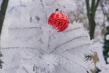 Kış parkında kar altında olağandışı beyaz Noel ağacında kırmızı Noel balosu