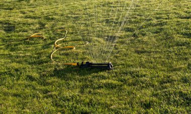 Portable, water efficient an oscillating sprinkler with metal arm sprays out a fan of water to the grass area in public streets. Watering lawn in city by an adjustable oscillating sprinkler in summer clipart