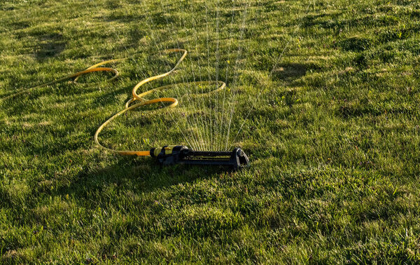 Portable, water efficient an oscillating sprinkler with metal arm sprays out a fan of water to the grass area in public streets. Watering lawn in city by an adjustable oscillating sprinkler in summer