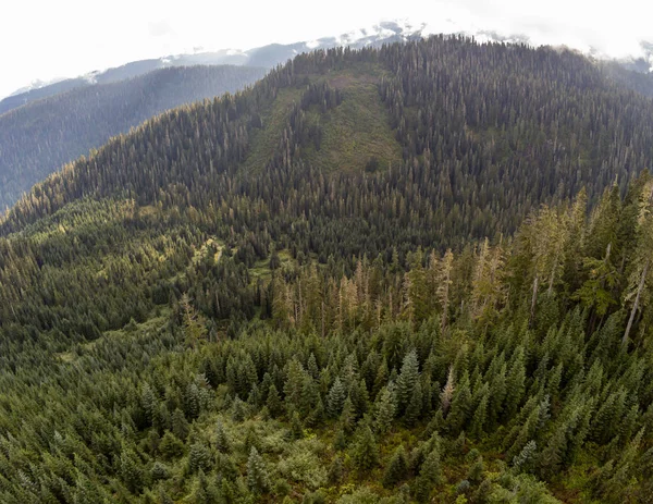 에베레스트 베이커 꼭대기에서 광경이 펼쳐진다 Baker Snoqualmie National Forest Washington — 스톡 사진