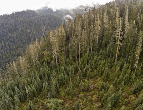 Vistas Estupendas Topo Majestoso Monte Baker Baker Snoqualmie Floresta Nacional — Fotografia de Stock