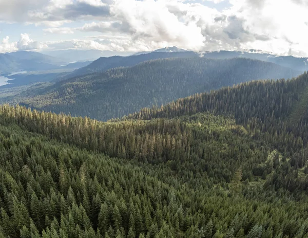 Nádherné Výhledy Vrcholu Majestátní Hory Baker Baker Snoqualmie National Forest — Stock fotografie