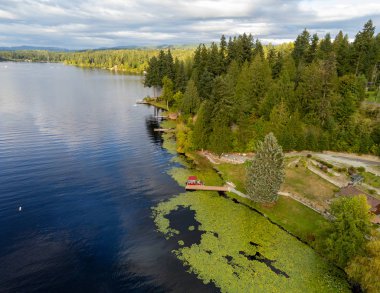Eatonville, Washington 'da Pierce County' nin muhteşem ve huzurlu Tanwax Gölü 'nün görkemli hava fotoğrafları..