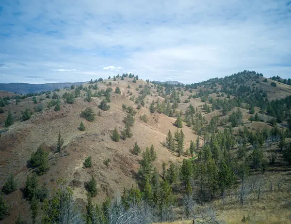 Vue Magnifique Sur Prairie Étendue Les Collines Les Vastes Canyons — Photo