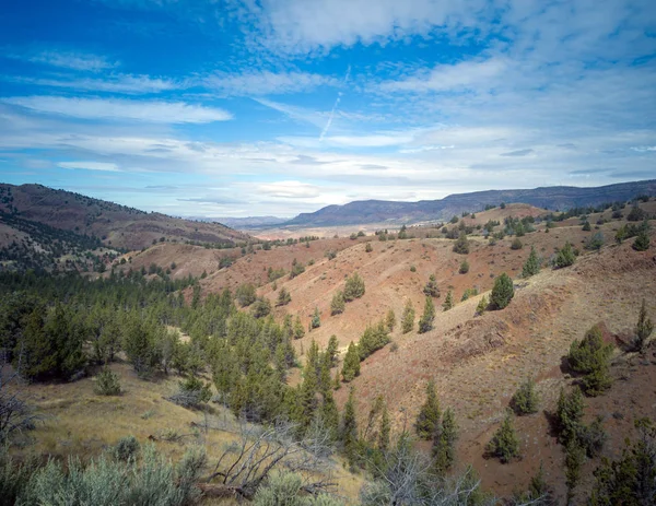 位于俄勒冈州米切尔市郊的萨顿山区荒芜研究区 广袤的草原 起伏的山丘和广袤的峡谷 美丽如画 — 图库照片