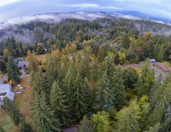 Fantastisch Mistig Vogelperspectief Een Ongelooflijke Zonsondergang Duthie Hill Park Issaquah — Stockfoto