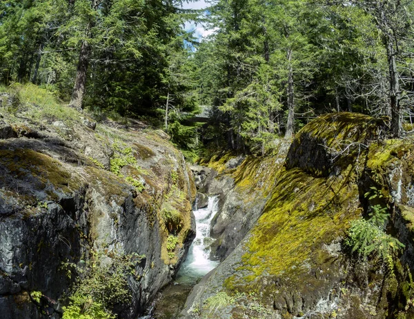 Maravillosa Fotografía Aérea Cougar Falls Área Forestal Nacional Mount Rainier —  Fotos de Stock
