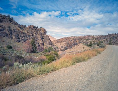 John Day Fosil Yatakları 'nın Gable Creek oluşumlarının muhteşem resimleri. Mitchell, Oregon' un kırsal kesiminin dışında..