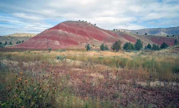 Pulchritudinous Images Polychromatic Painted Hills Unit John Day Fossil Beds — Foto de Stock