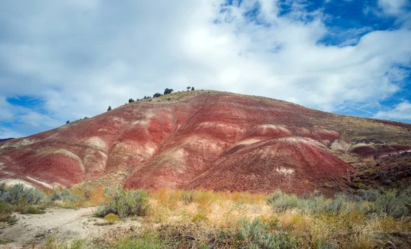 Pulchritudinous Images Polychromatic Painted Hills Unit John Day Fossil Beds — Foto de Stock