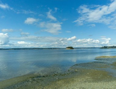 Pierce County 'nin Gig Harbour, Washington' daki inanılmaz Kopachuck State Park 'ının Galliant hava görüntüleri.
