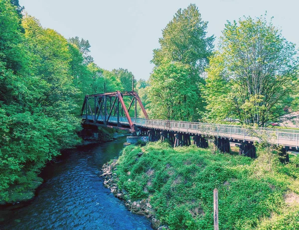 Lovely Maplewood Roadside Park Pintoresco Río Cedar Renton Washington Primavera — Foto de Stock