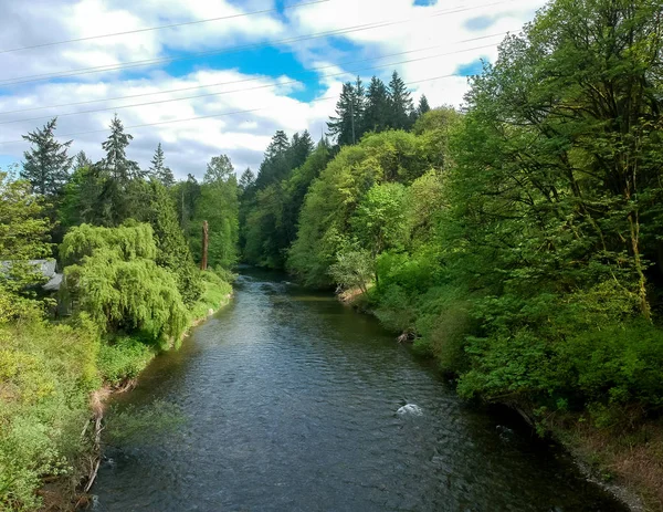 Güzel Maplewood Yol Kenarı Parkı ve baharda Washington, Renton 'daki Cedar Nehri..