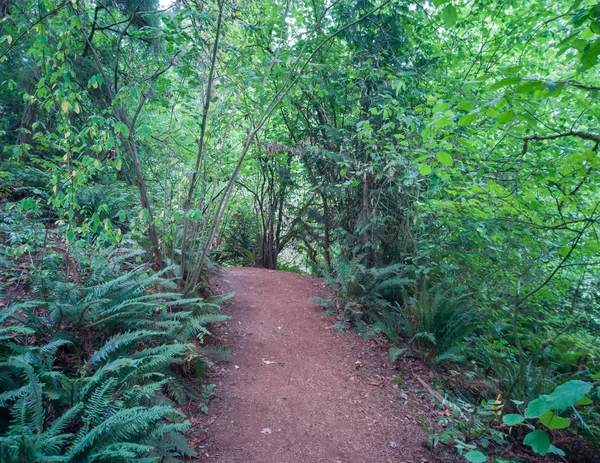 Gloriously Motley Photos Marvelous King County Mercer Slough Nature Park — стоковое фото