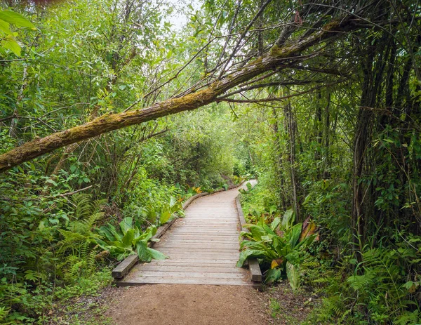 Gloriously Motley Photos Marvelous King County Mercer Slough Nature Park — Stock Photo, Image