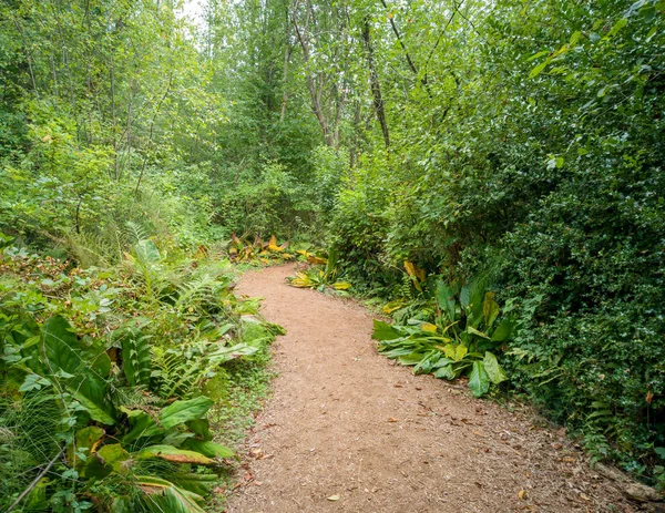 Gloriously Motley Photos Marvelous King County Mercer Slough Nature Park — стоковое фото