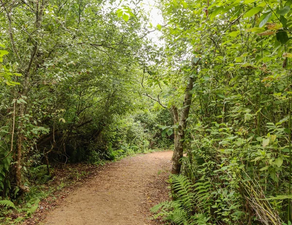 Prachtig Bonte Foto Van Het Prachtige King County Mercer Slough — Stockfoto