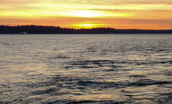 パゲットサウンドの波打つ水の上に美しい夕日の活気のある画像Vashon島とブレイク島海洋州立公園カモメとワシントン州フェリーで遠くに — ストック写真