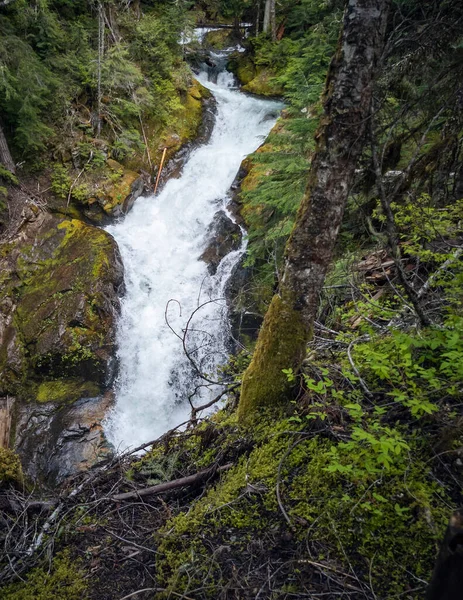 Nádherné Deer Creek Falls Obklopen Svěžím Zeleným Lesem Mount Rainier — Stock fotografie