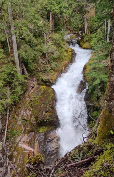 Hermosas Cataratas Deer Creek Rodeadas Por Exuberante Bosque Verde Parque — Foto de Stock