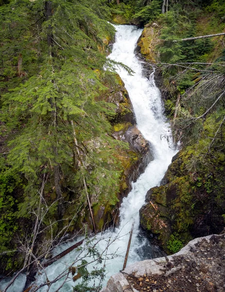 Nádherné Deer Creek Falls Obklopen Svěžím Zeleným Lesem Mount Rainier — Stock fotografie