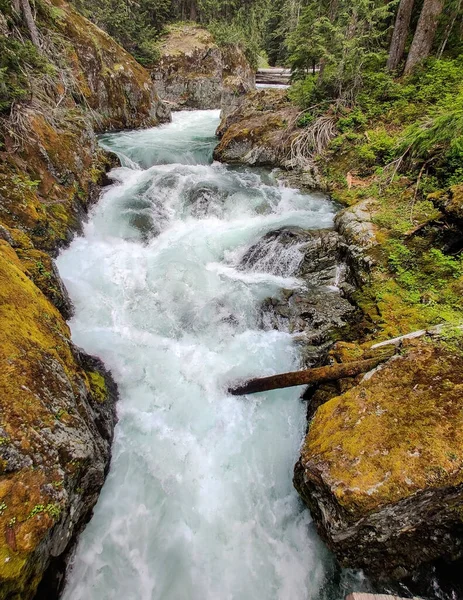 Cautivante Chinook Cascadas Bulliciosas Por Arroyo Con Grandes Rocas Entorno — Foto de Stock