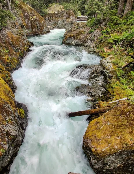 Cautivante Chinook Cascadas Bulliciosas Por Arroyo Con Grandes Rocas Entorno — Foto de Stock