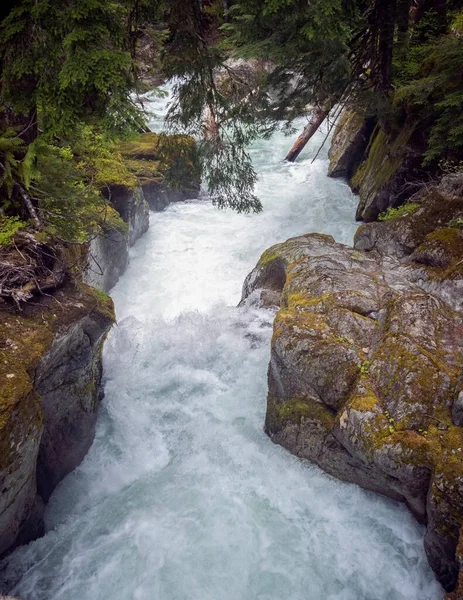在华盛顿西部一个原始的森林里 吸引着千奇百怪的瀑布 用大石头沿着小河飞奔而下 — 图库照片