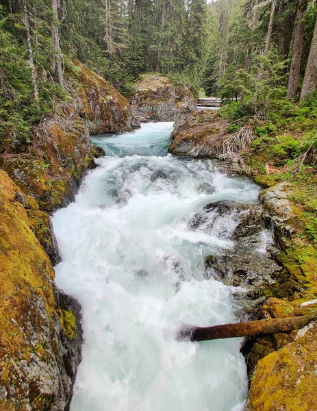 Cautivante Chinook Cascadas Bulliciosas Por Arroyo Con Grandes Rocas Entorno — Foto de Stock