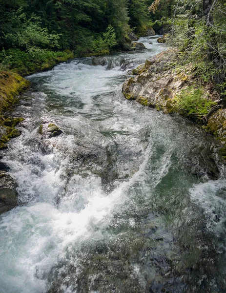 Proudící Řeka Ohanapecosh Slavném Národním Parku Mount Rainier Tekoucí Přírodní — Stock fotografie