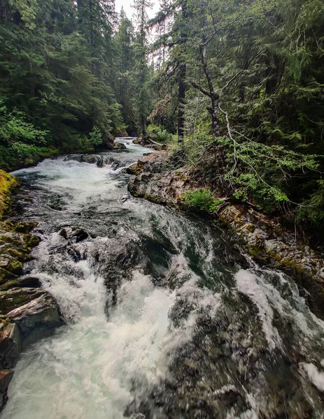 Rio Ohanapecosh Jorrando Famoso Parque Nacional Mount Rainier Fluindo Uma — Fotografia de Stock