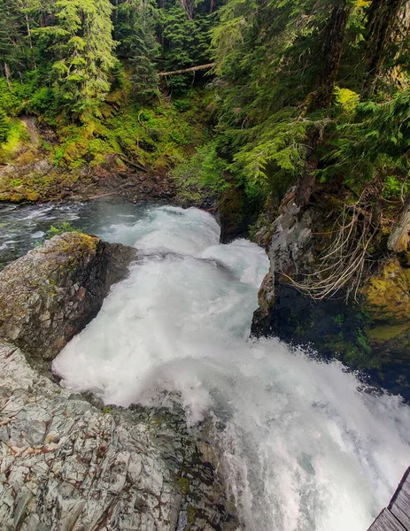 Exquisito Ohanapecosh River Falls Una Cascada Doble Ponche Que Vierte — Foto de Stock