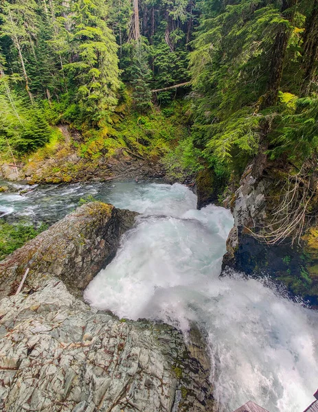 Squisita Cascata Del Fiume Ohanapecosh Una Doppia Cascata Punch Bowl — Foto Stock