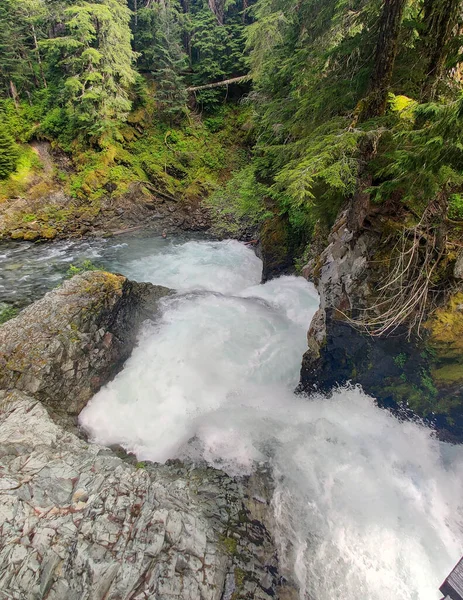 Exquisito Ohanapecosh River Falls Una Cascada Doble Ponche Que Vierte — Foto de Stock